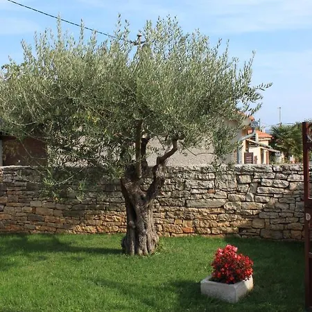 With A Parking Space Tar, Porec - 7026