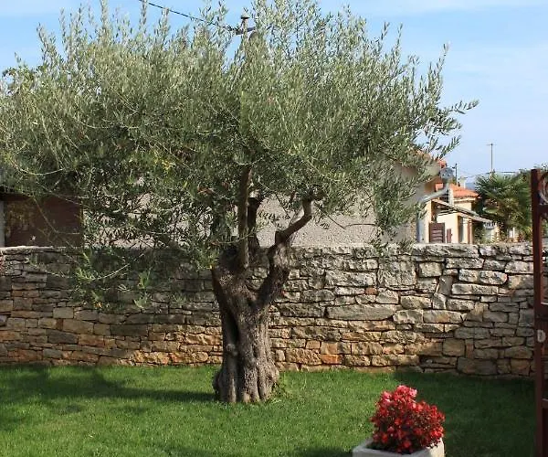 With A Parking Space Tar, Porec - 7026